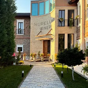Nurellari Winery Cellar And Berat